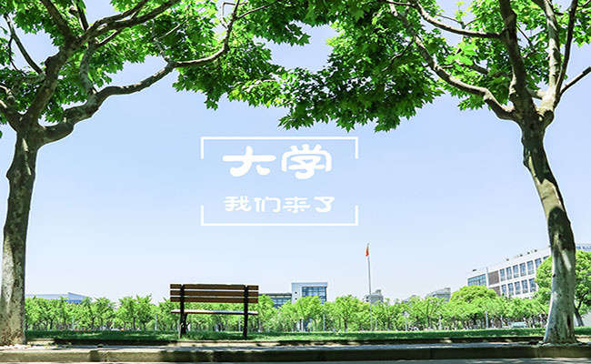 河南成人高考小学教育考什么科目